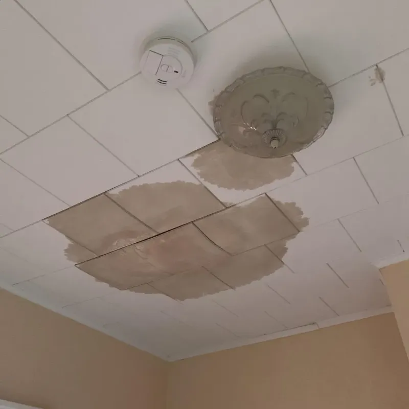 Ceiling Water Damage Repair in Swansea, MA