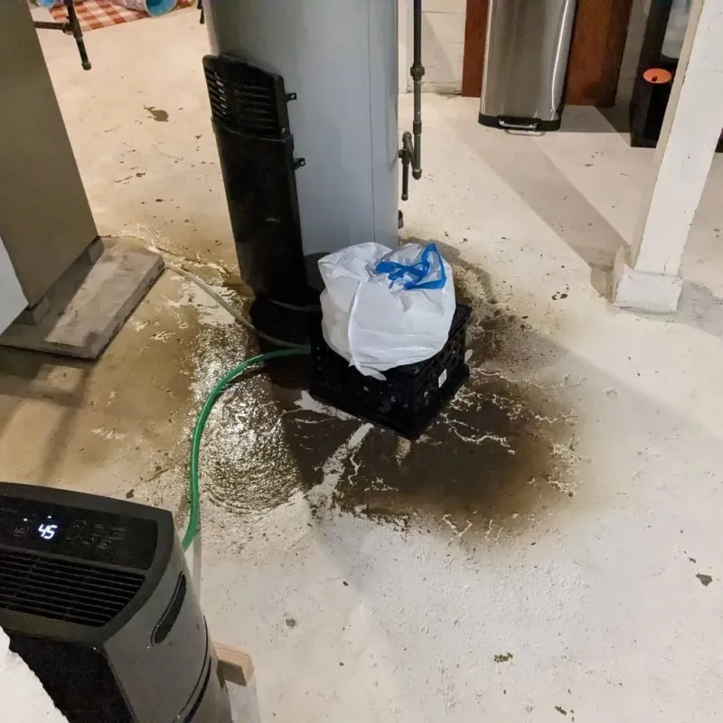 Sewage Backup Cleanup Service in Swansea, MA